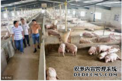 <b>【天辰平台】养殖生猪的废水怎么处理</b>